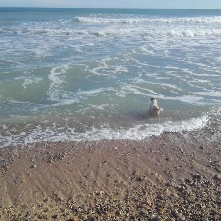 Apartamento Blanc Mar Peñíscola Dış mekan fotoğraf