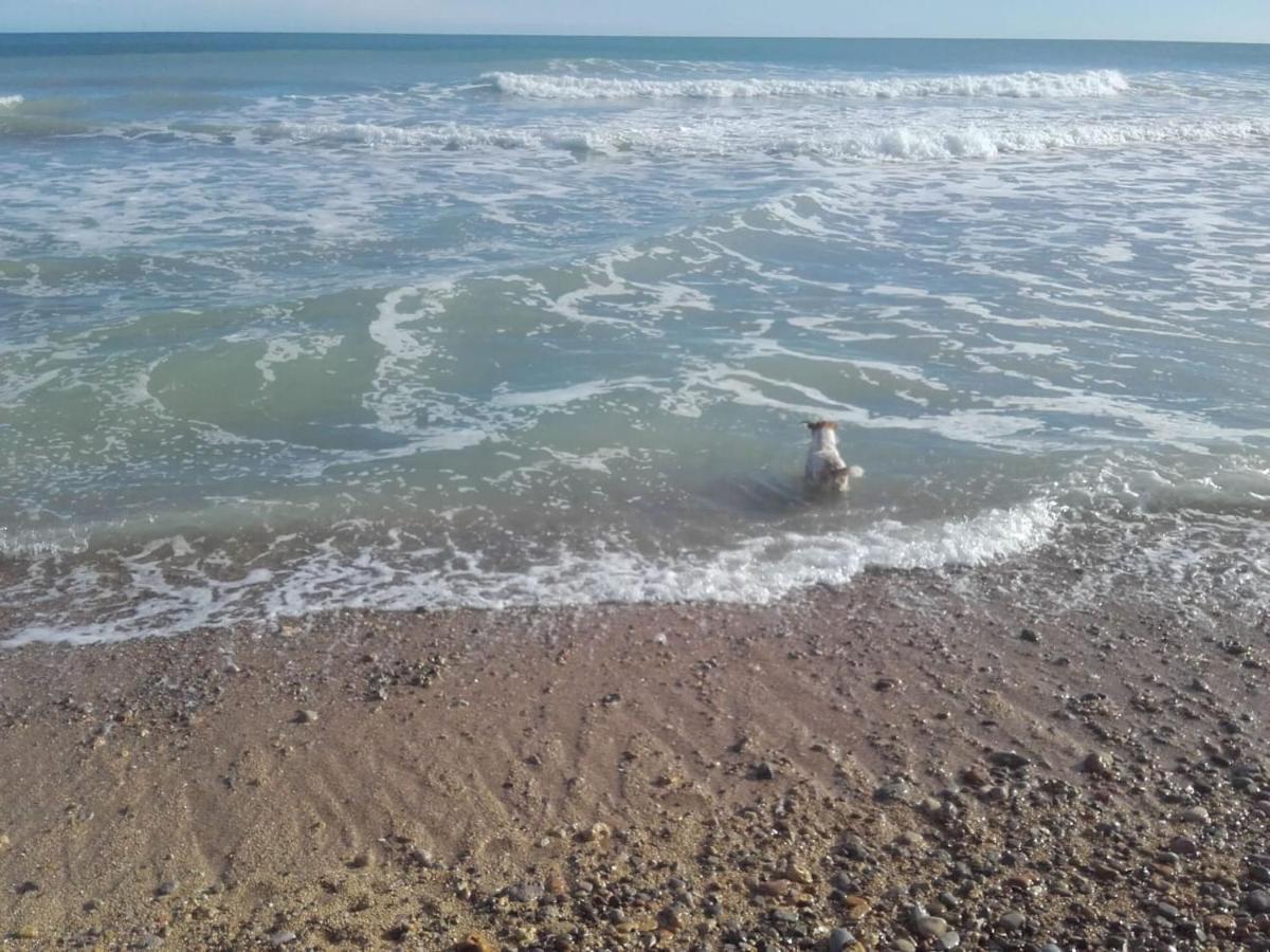 Apartamento Blanc Mar Peñíscola Dış mekan fotoğraf